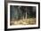 Forest, 1898-Ivan Ivanovitch Shishkin-Framed Giclee Print