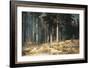 Forest, 1898-Ivan Ivanovitch Shishkin-Framed Giclee Print