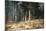 Forest, 1898-Ivan Ivanovitch Shishkin-Mounted Giclee Print