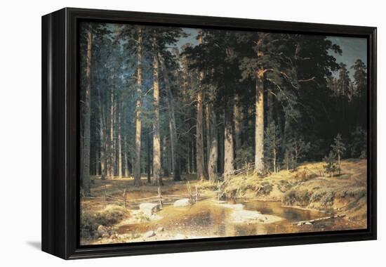 Forest, 1898-Ivan Ivanovitch Shishkin-Framed Premier Image Canvas