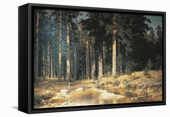 Forest, 1898-Ivan Ivanovitch Shishkin-Framed Premier Image Canvas