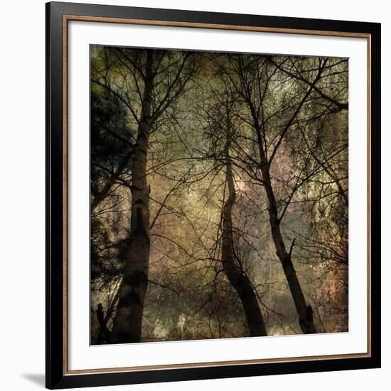 Forest 1-Jean-François Dupuis-Framed Art Print