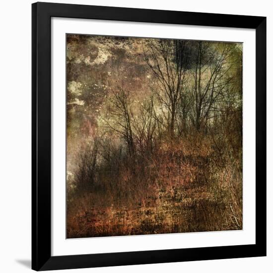 Forest 4-Jean-François Dupuis-Framed Art Print