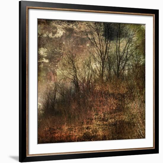 Forest 4-Jean-François Dupuis-Framed Art Print