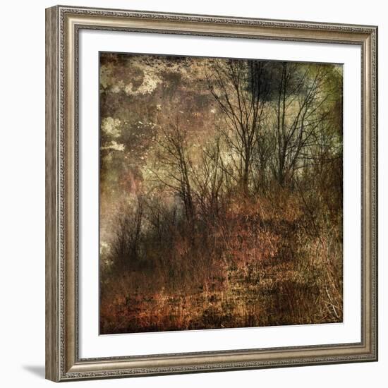 Forest 4-Jean-François Dupuis-Framed Art Print