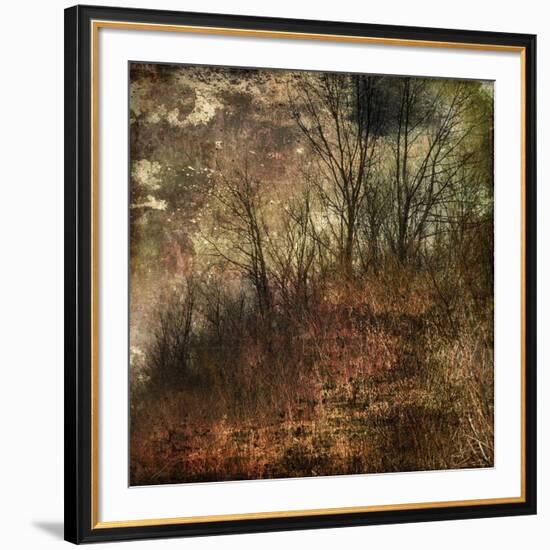 Forest 4-Jean-François Dupuis-Framed Art Print