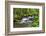 Forest And Creek 2-Janet Slater-Framed Photographic Print