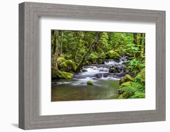 Forest And Creek 2-Janet Slater-Framed Photographic Print