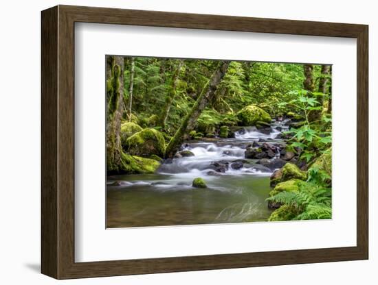 Forest And Creek 2-Janet Slater-Framed Photographic Print