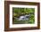 Forest And Creek 2-Janet Slater-Framed Photographic Print