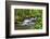 Forest And Creek 2-Janet Slater-Framed Photographic Print