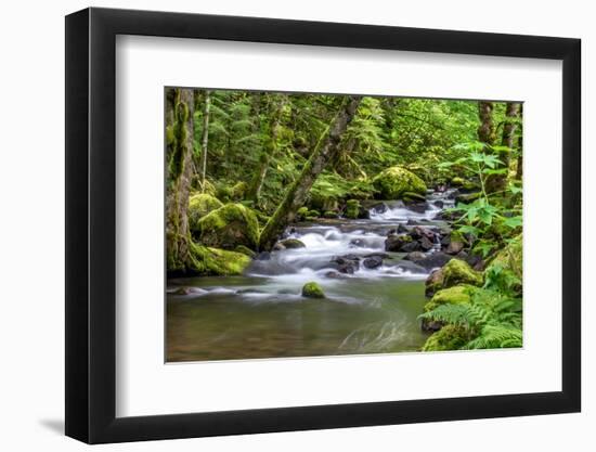 Forest And Creek 2-Janet Slater-Framed Photographic Print