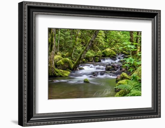 Forest And Creek 2-Janet Slater-Framed Photographic Print