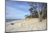 Forest and Dunes on the Western Beach of Darss Peninsula-Uwe Steffens-Mounted Photographic Print