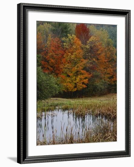 Forest and Pond in Autumn, North Landgrove, Vermont, USA-Scott T^ Smith-Framed Photographic Print