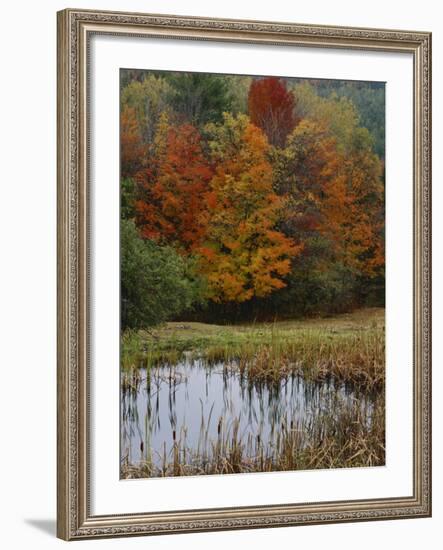 Forest and Pond in Autumn, North Landgrove, Vermont, USA-Scott T^ Smith-Framed Photographic Print