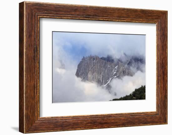 Forest and the rugged mountains in the Torres del Paine National Park, Patagonia, Chile, South Amer-Alex Robinson-Framed Photographic Print