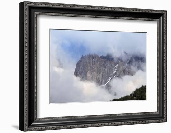Forest and the rugged mountains in the Torres del Paine National Park, Patagonia, Chile, South Amer-Alex Robinson-Framed Photographic Print