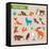 Forest Animals Vector Set of Icons and Illustrations-Marish-Framed Stretched Canvas