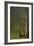 Forest at Pont Aubert-Georges Seurat-Framed Art Print