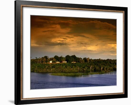 Forest at Sunset, Brazil-Wayne Walton-Framed Photographic Print