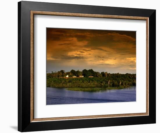 Forest at Sunset, Brazil-Wayne Walton-Framed Photographic Print