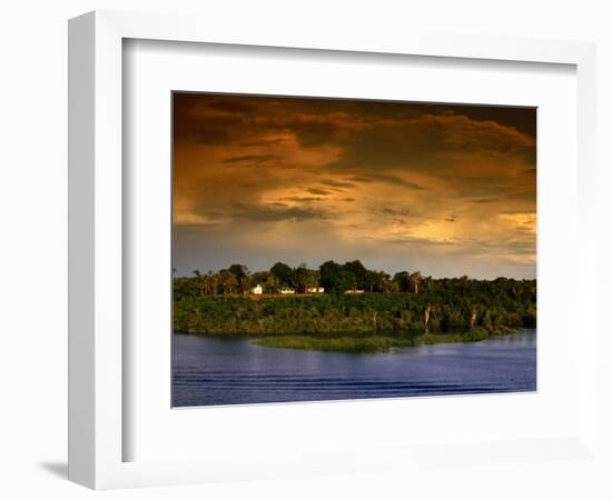 Forest at Sunset, Brazil-Wayne Walton-Framed Photographic Print