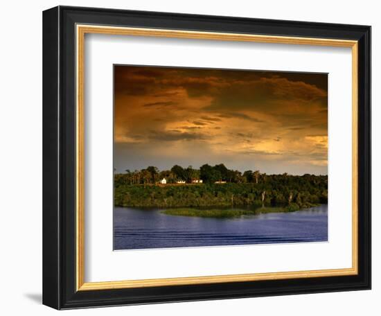 Forest at Sunset, Brazil-Wayne Walton-Framed Photographic Print