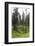 Forest at the Bottom of the Sas Dla Crusc, St. Leonhard Close Abtei, South Tyrol, Italy, Europe-Gerhard Wild-Framed Photographic Print
