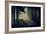 Forest Beam-David Baker-Framed Photographic Print