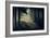 Forest Beam-David Baker-Framed Photographic Print