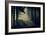 Forest Beam-David Baker-Framed Photographic Print