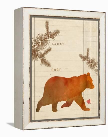 Forest Bear-Z Studio-Framed Stretched Canvas