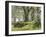 Forest, Beech Trees, Forest Soil, Moss, Autumn-Thonig-Framed Photographic Print