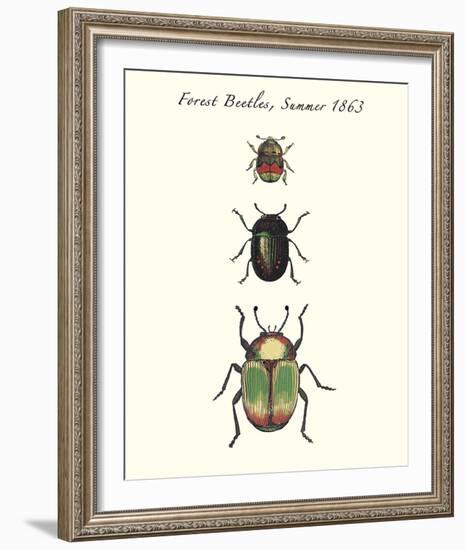 Forest Beetles-Maria Mendez-Framed Giclee Print