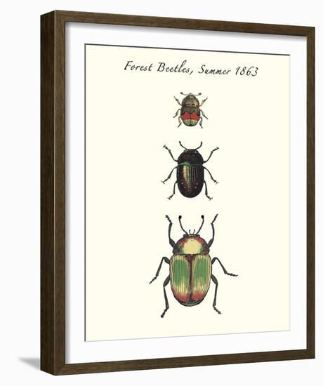 Forest Beetles-Maria Mendez-Framed Giclee Print