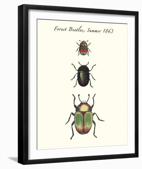 Forest Beetles-Maria Mendez-Framed Giclee Print