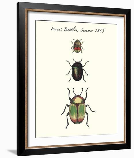 Forest Beetles-Maria Mendez-Framed Giclee Print