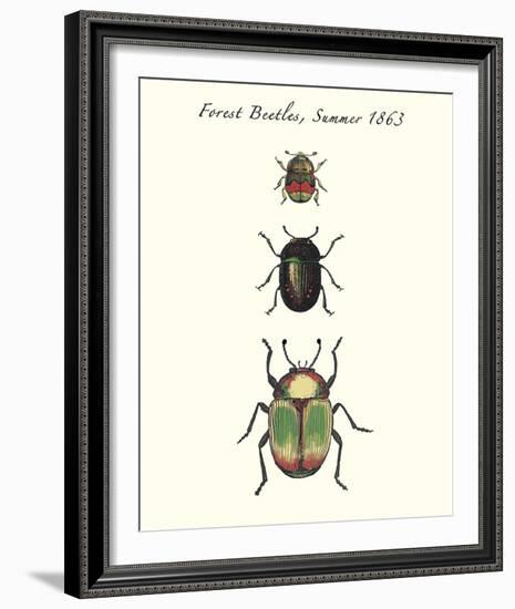 Forest Beetles-Maria Mendez-Framed Giclee Print