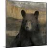 Forest Black Bear-Carol Robinson-Mounted Art Print