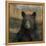 Forest Black Bear-Carol Robinson-Framed Stretched Canvas