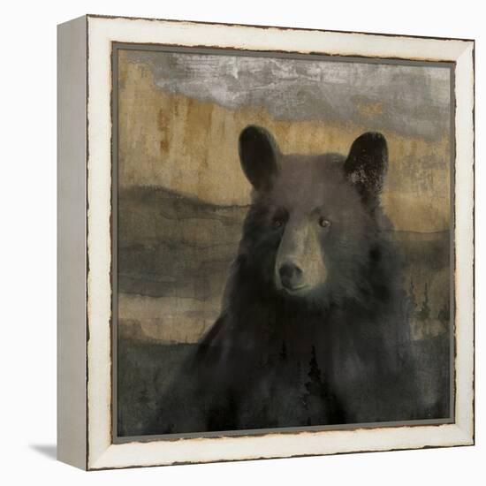 Forest Black Bear-Carol Robinson-Framed Stretched Canvas