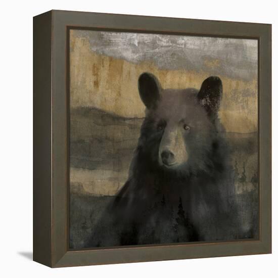 Forest Black Bear-Carol Robinson-Framed Stretched Canvas