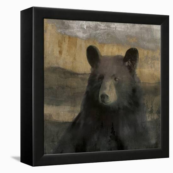 Forest Black Bear-Carol Robinson-Framed Stretched Canvas