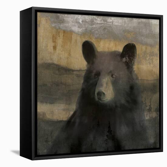 Forest Black Bear-Carol Robinson-Framed Stretched Canvas