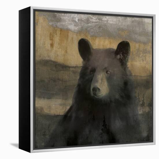 Forest Black Bear-Carol Robinson-Framed Stretched Canvas
