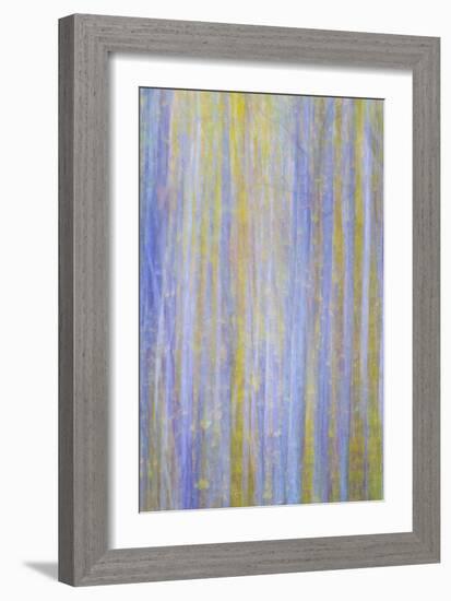 Forest Blur I-Kathy Mahan-Framed Photographic Print