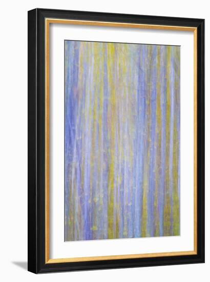 Forest Blur I-Kathy Mahan-Framed Photographic Print