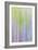 Forest Blur II-Kathy Mahan-Framed Photographic Print