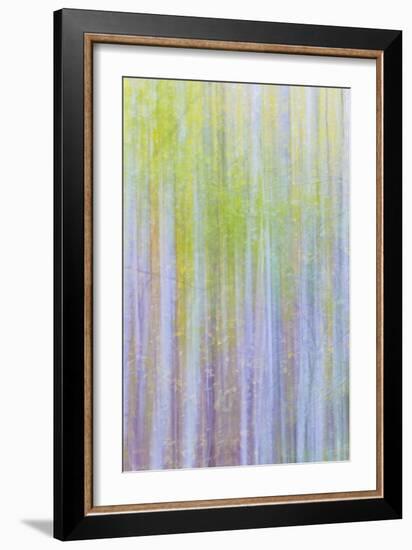 Forest Blur II-Kathy Mahan-Framed Photographic Print